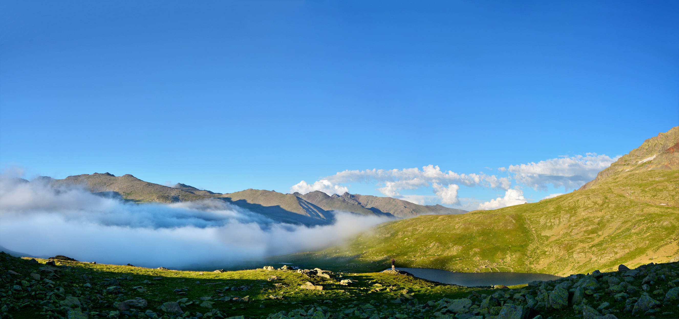 Nature Landscape On Summer