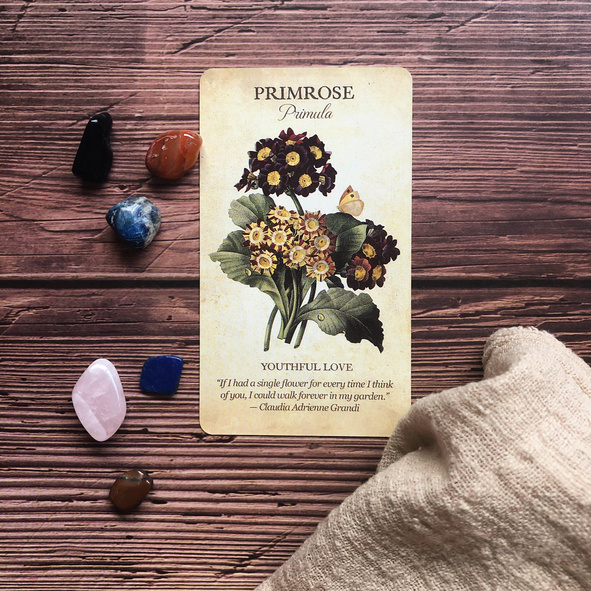 Oracle Card on the Wooden Table