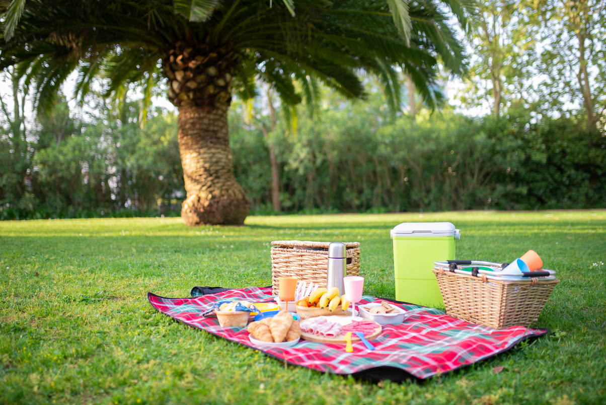 Food on the Picnic Blanket